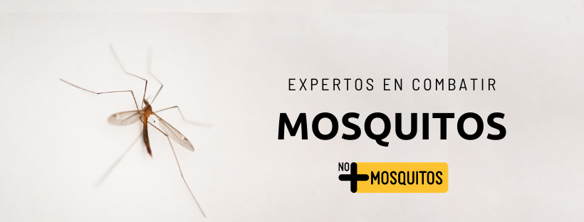 Logo de No + Mosquitos