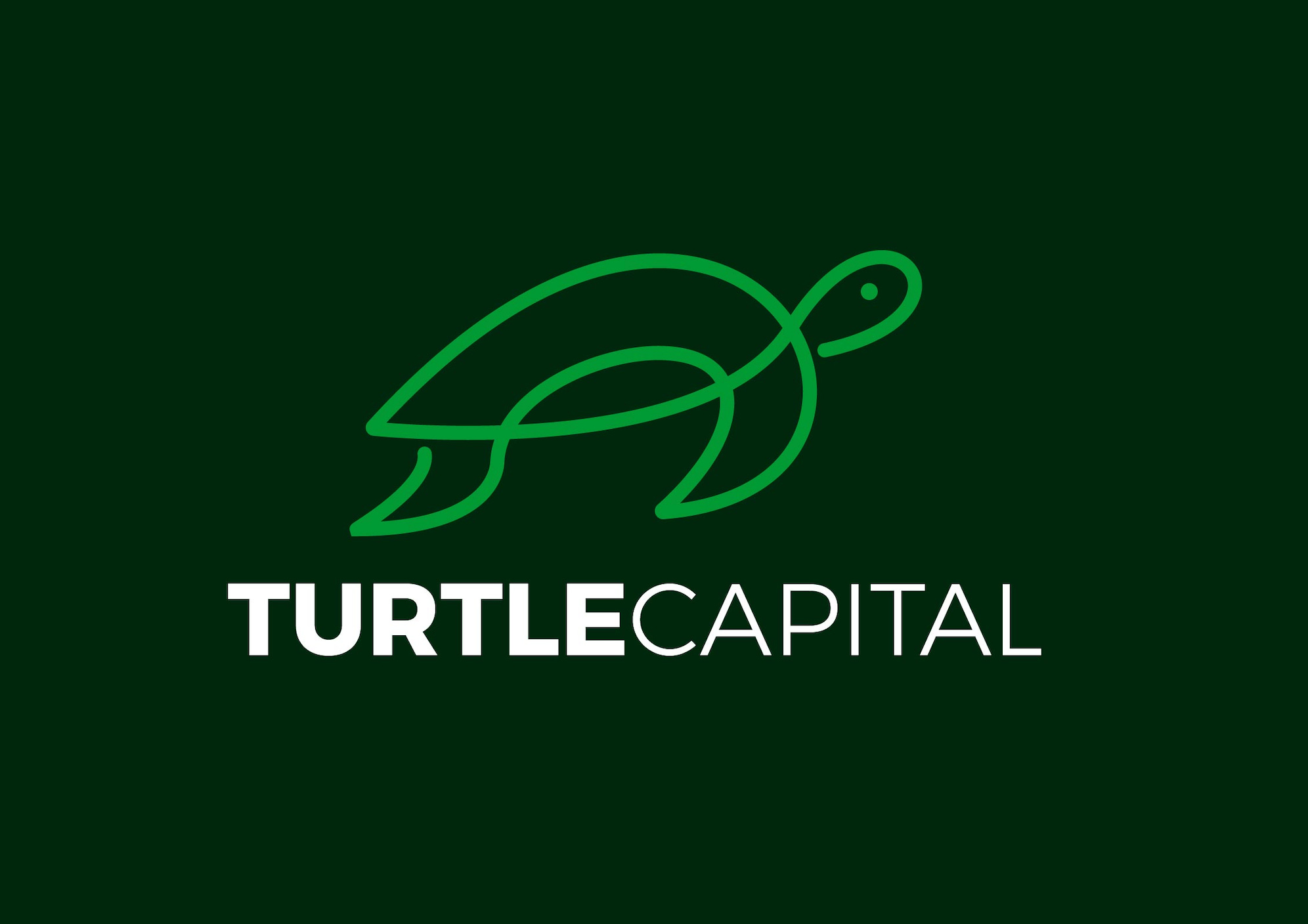 Logo de Turtle Capital